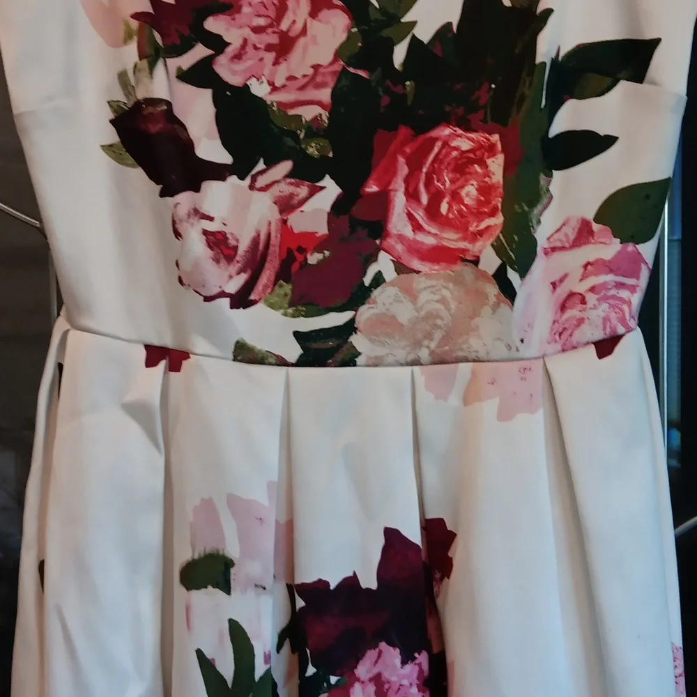 Blooming Roses Dress - Picture 5 of 6